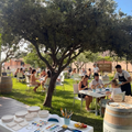 WORKSHOP DI DECORAZIONE SU CERAMICA 11 LUGLIO 2026