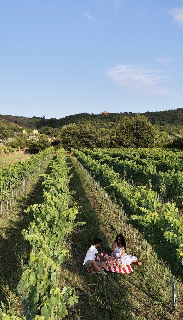 Picnic al tramonto in Vigna